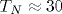 T_N \approx 30