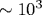 \sim 10^3